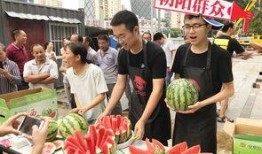 北京朝阳吃瓜群众网,吃瓜群众网带你领略京城美食风采